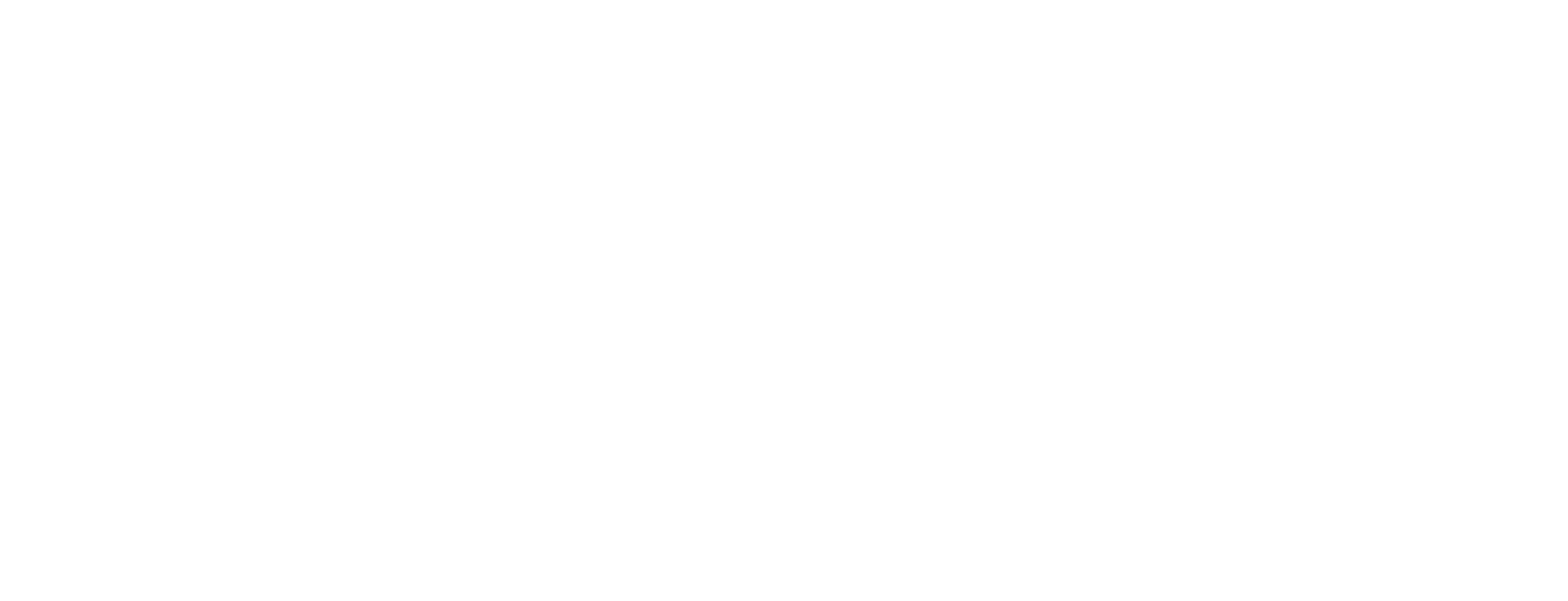 SEAG logo